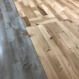 Plancher en bois : un choix intemporel pour une ambiance chaleureuse Carvin